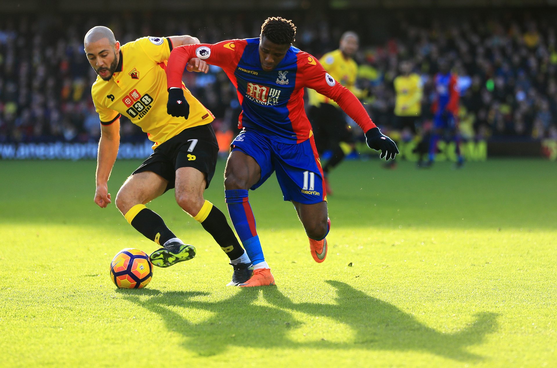 动在国内的 动在国内的